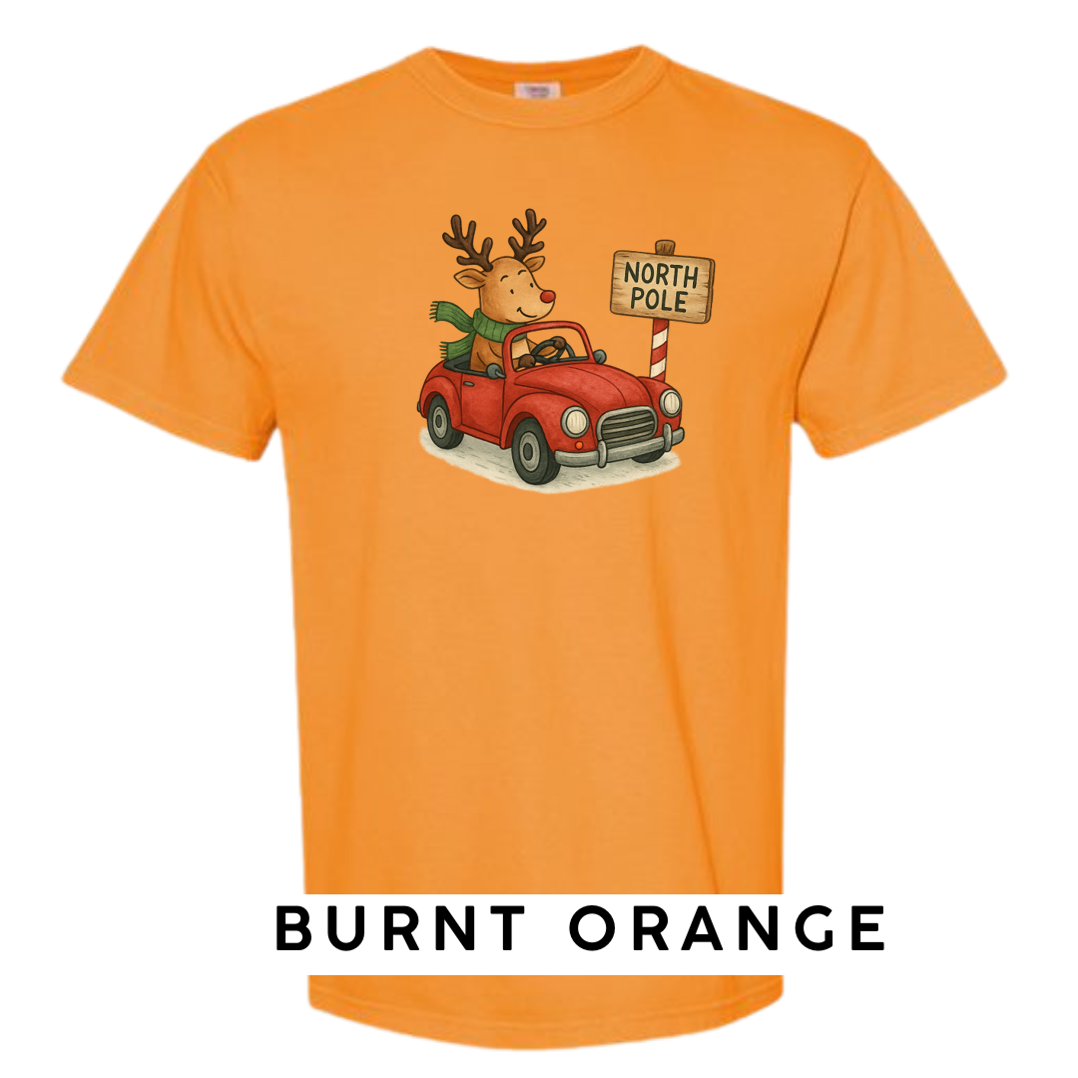 Reindeer Driving to Work