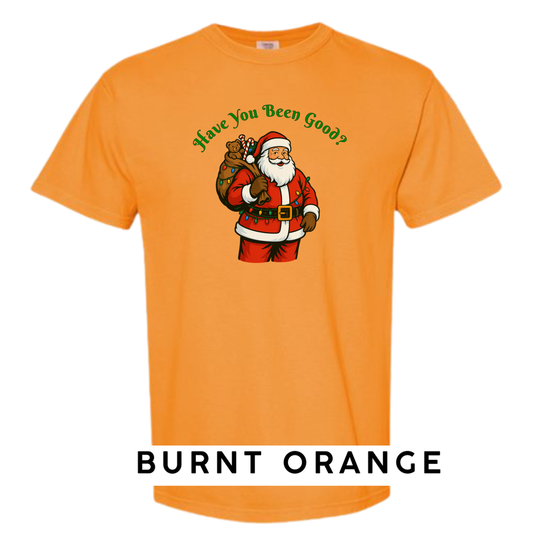 Santa Claus - Have you been Good?