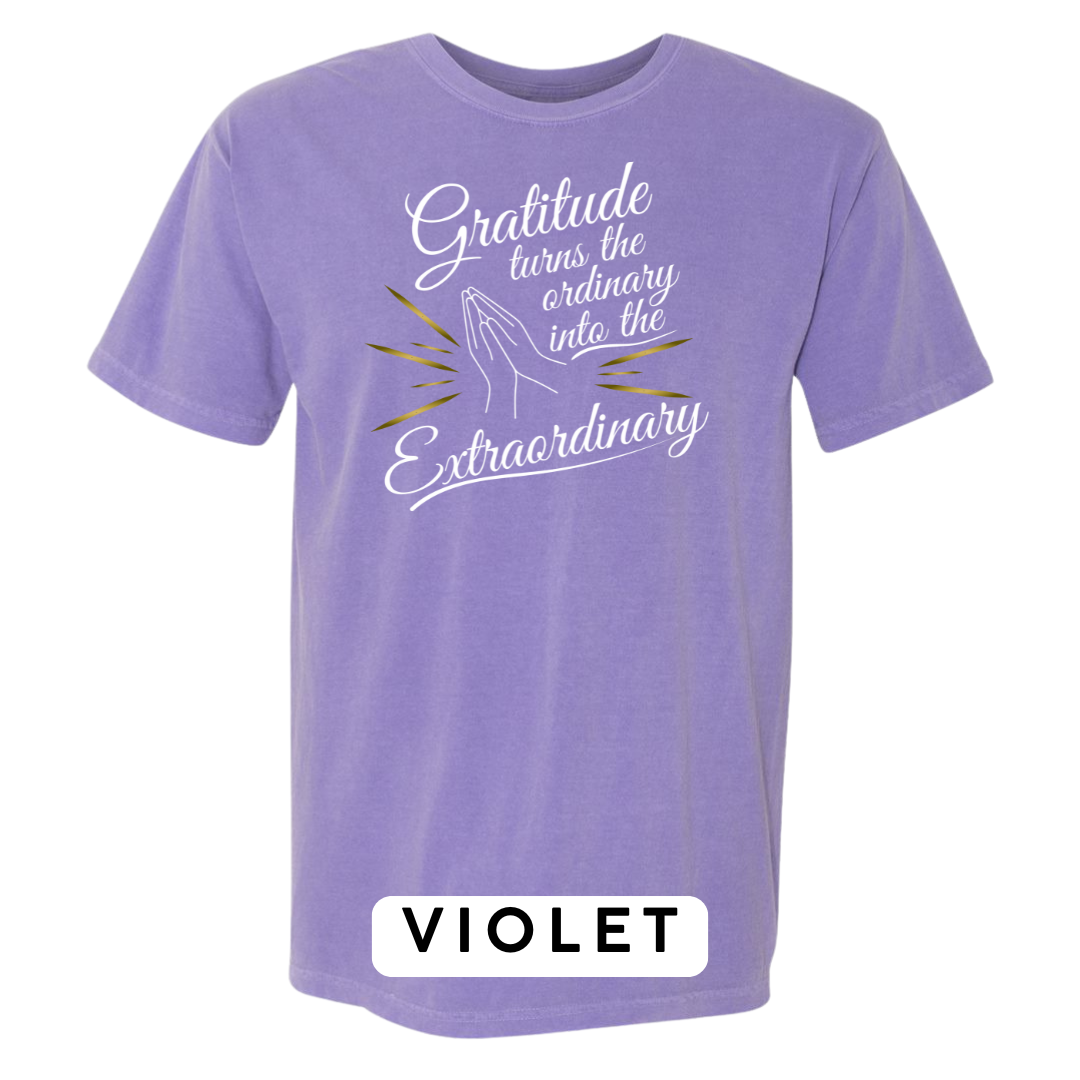 Gratitude Turns the Ordinary to Extraordinary Graphic T-Shirt