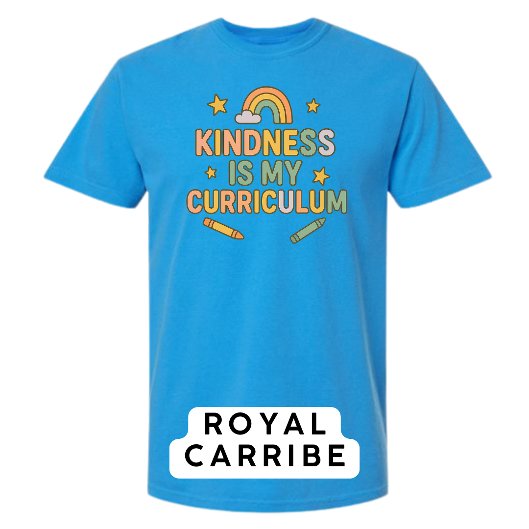 Kindness Is My Curriculum Graphic T-Shirt