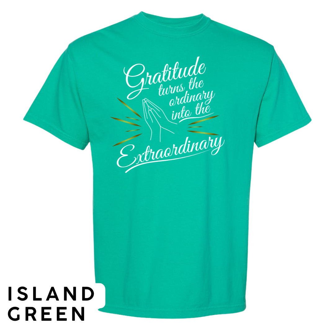 Gratitude Turns the Ordinary to Extraordinary Graphic T-Shirt