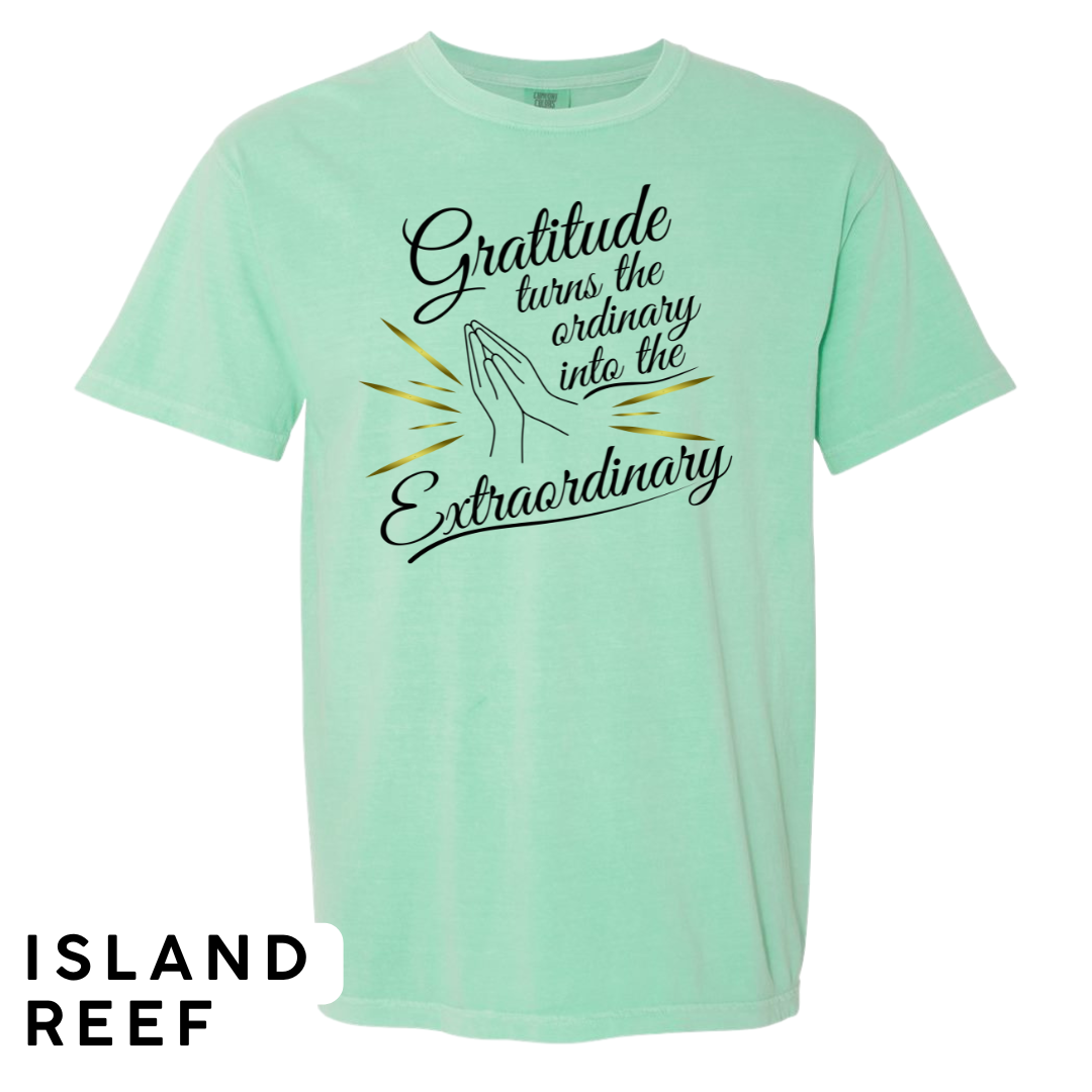 Gratitude Turns the Ordinary to Extraordinary Graphic T-Shirt