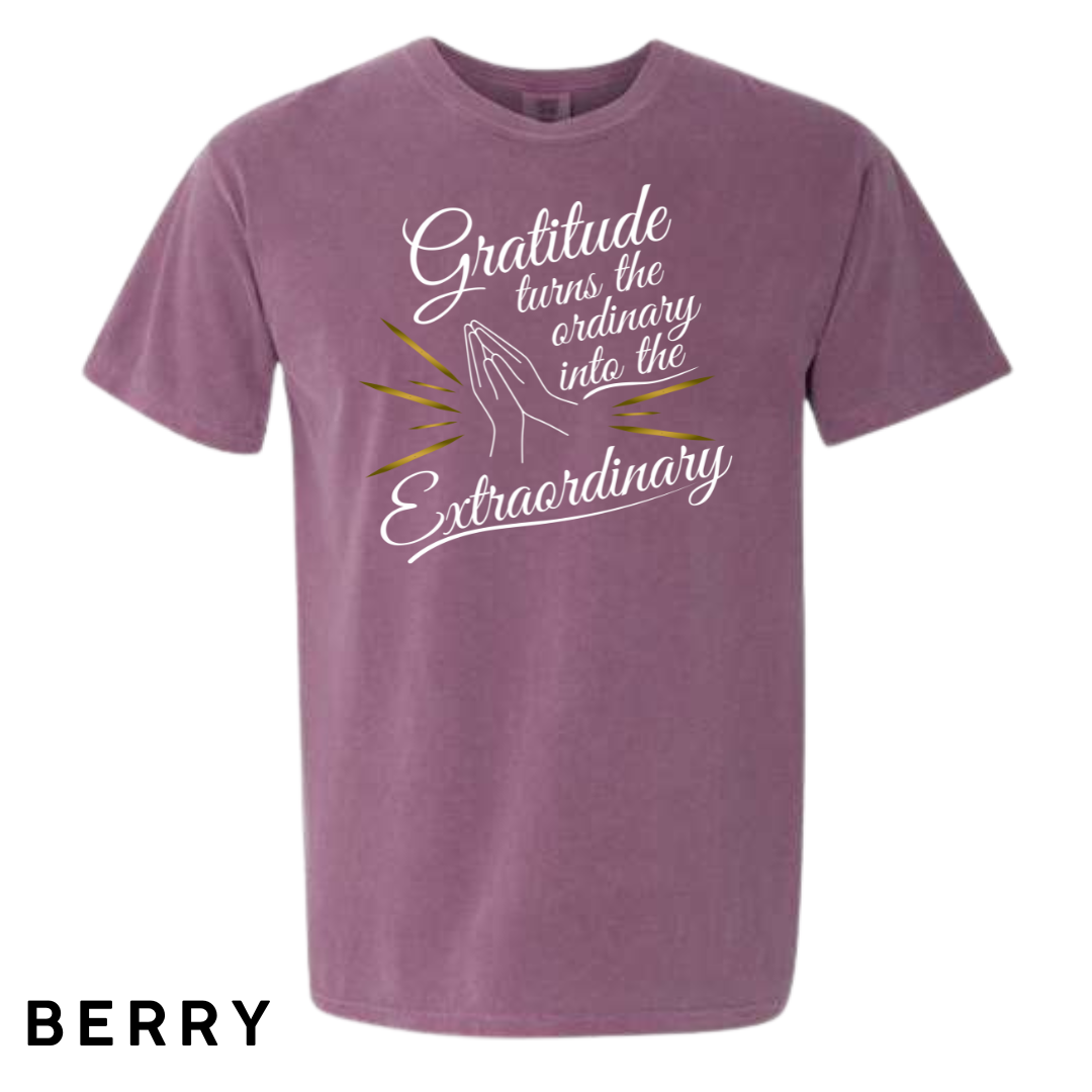 Gratitude Turns the Ordinary to Extraordinary Graphic T-Shirt