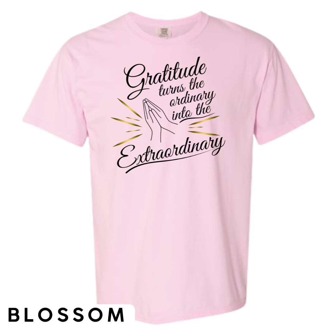 Gratitude Turns the Ordinary to Extraordinary Graphic T-Shirt
