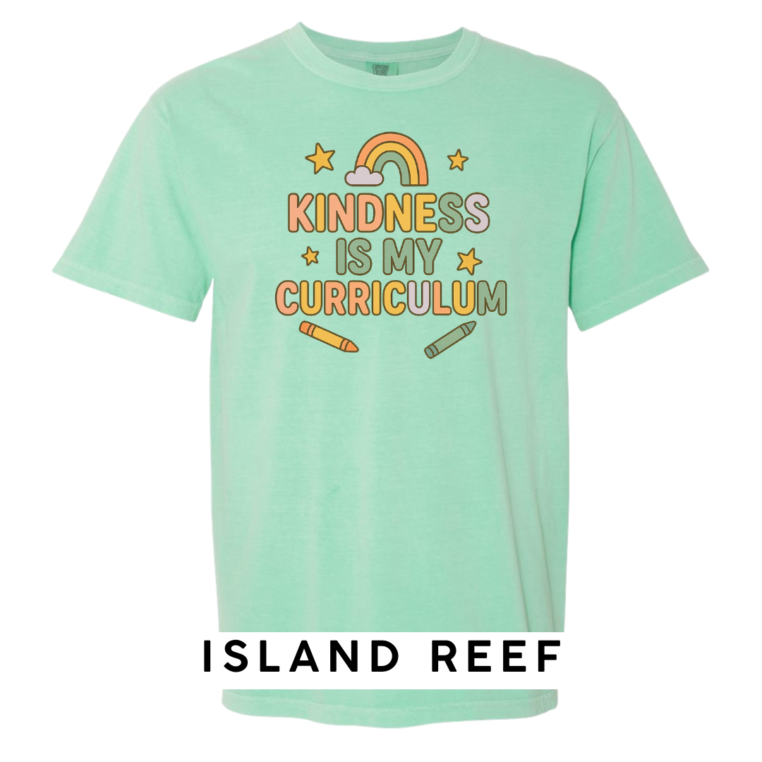 Kindness Is My Curriculum Graphic T-Shirt