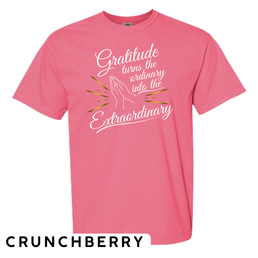 Gratitude Turns the Ordinary to Extraordinary Graphic T-Shirt