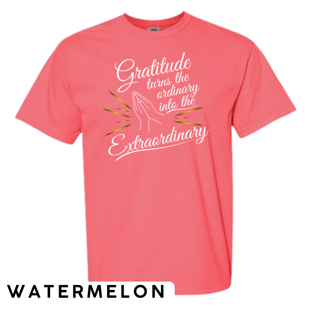 Gratitude Turns the Ordinary to Extraordinary Graphic T-Shirt