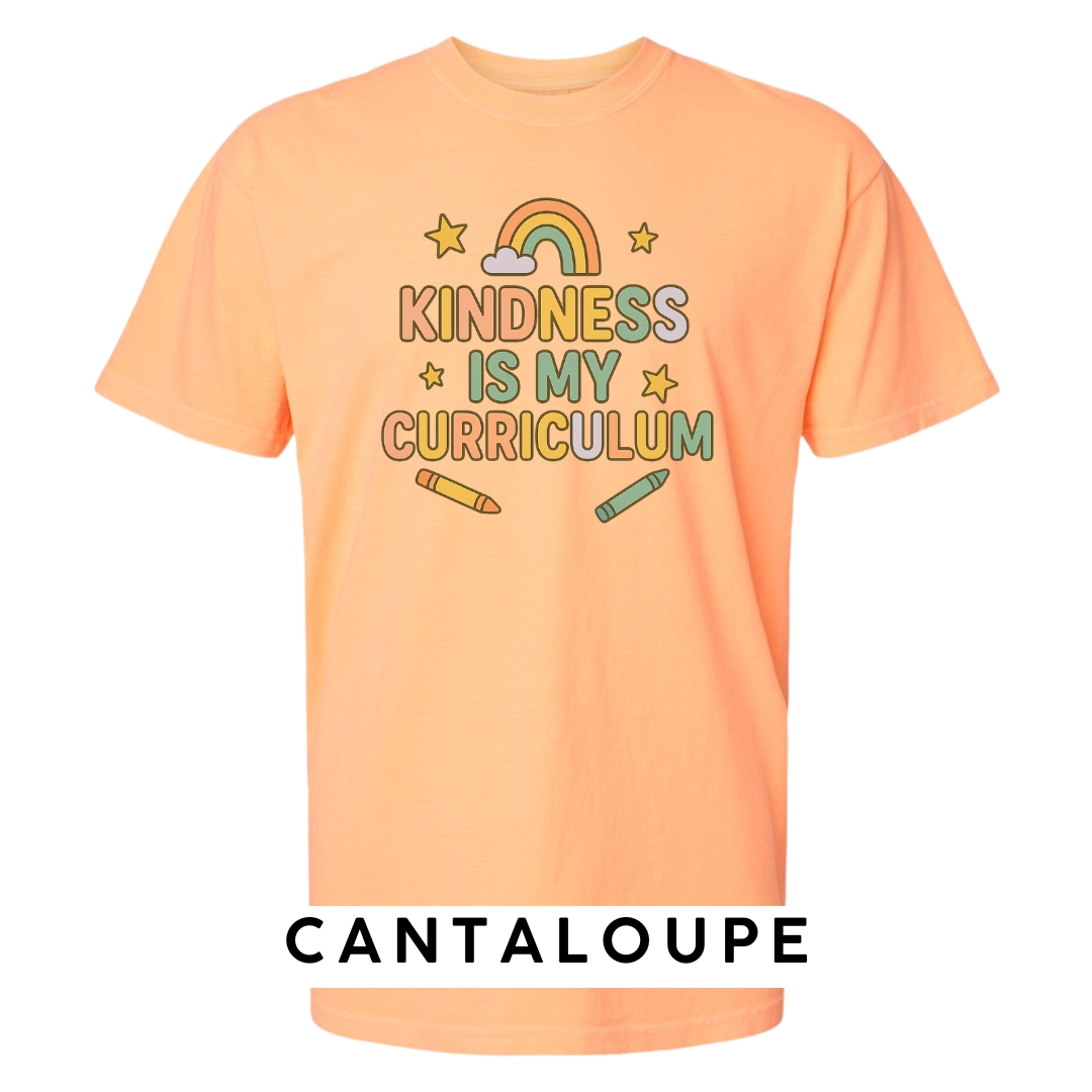 Kindness Is My Curriculum Graphic T-Shirt