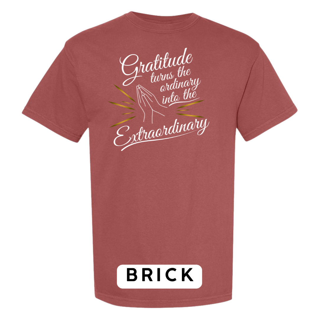 Gratitude Turns the Ordinary to Extraordinary Graphic T-Shirt