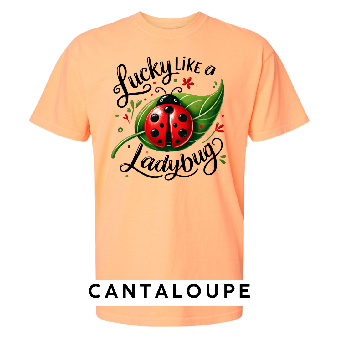 Lucky Like a Ladybug Graphic T-Shirt