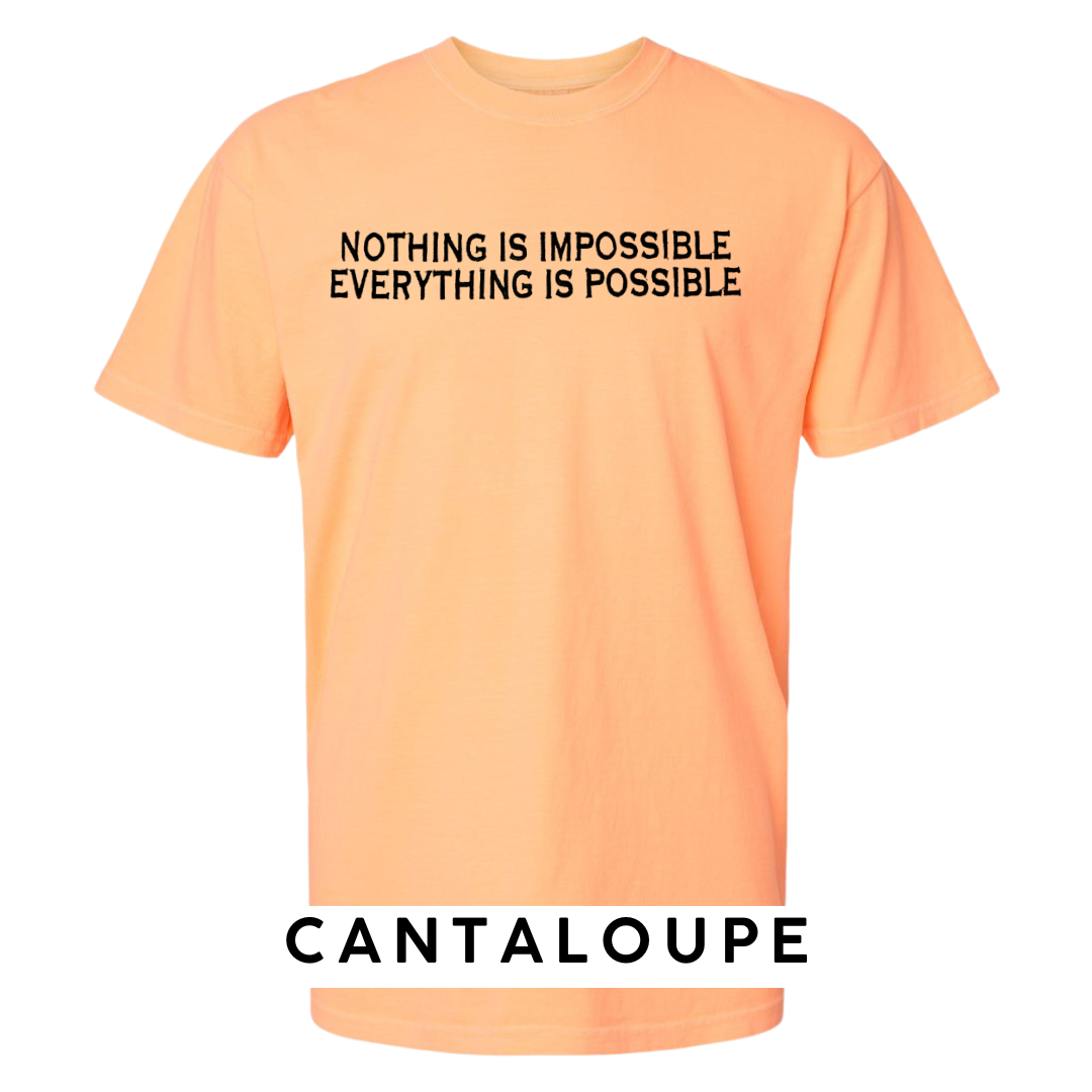 "Nothing is Impossible, Everything is Possible" Embroidered T-Shirt