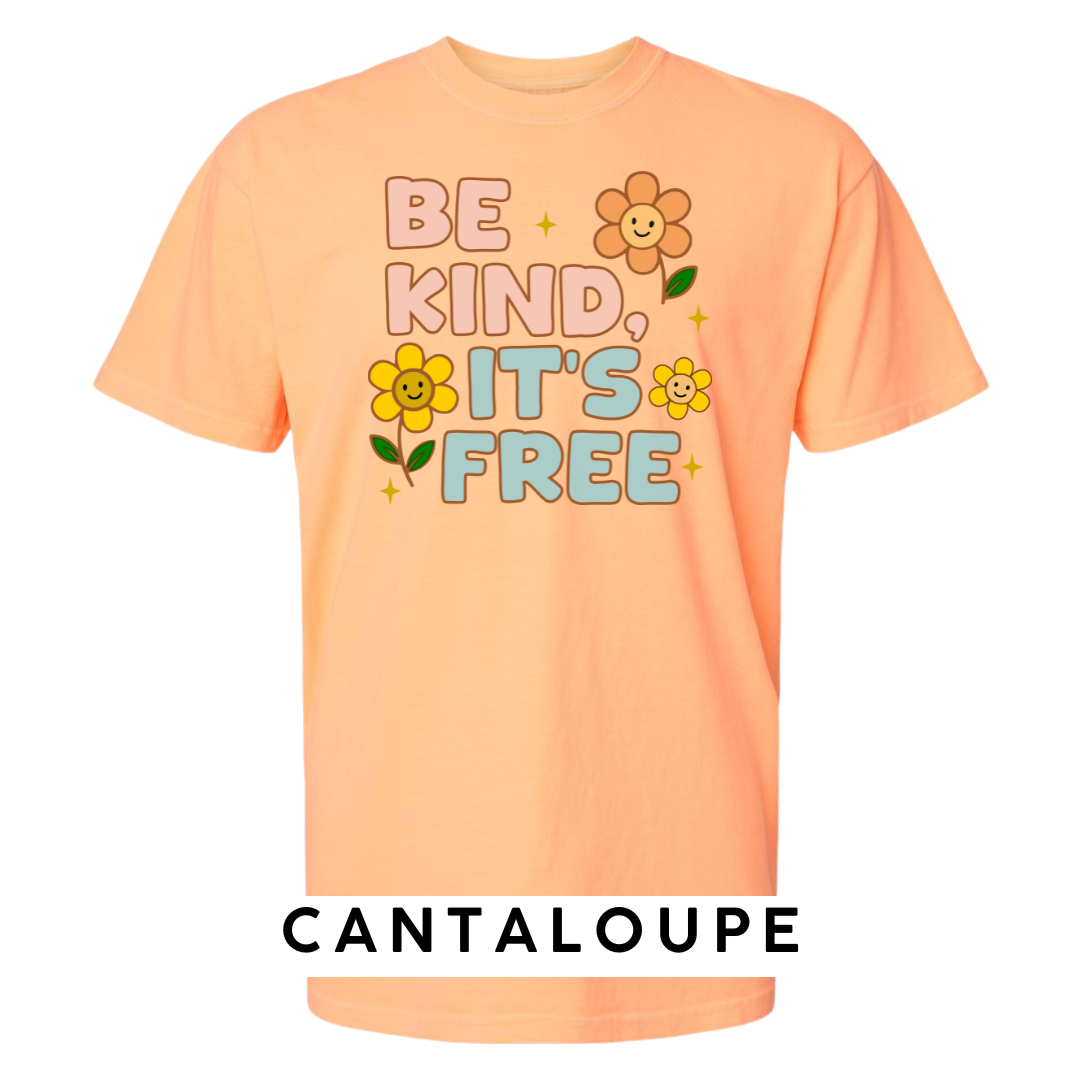 Be Kind, It’s Free Graphic T-Shirt