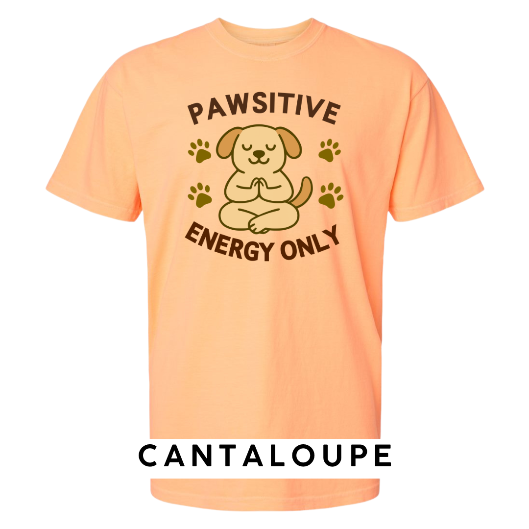 Pawsitive Energy Only Graphic T-Shirt