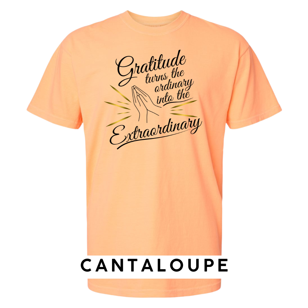 Gratitude Turns the Ordinary to Extraordinary Graphic T-Shirt