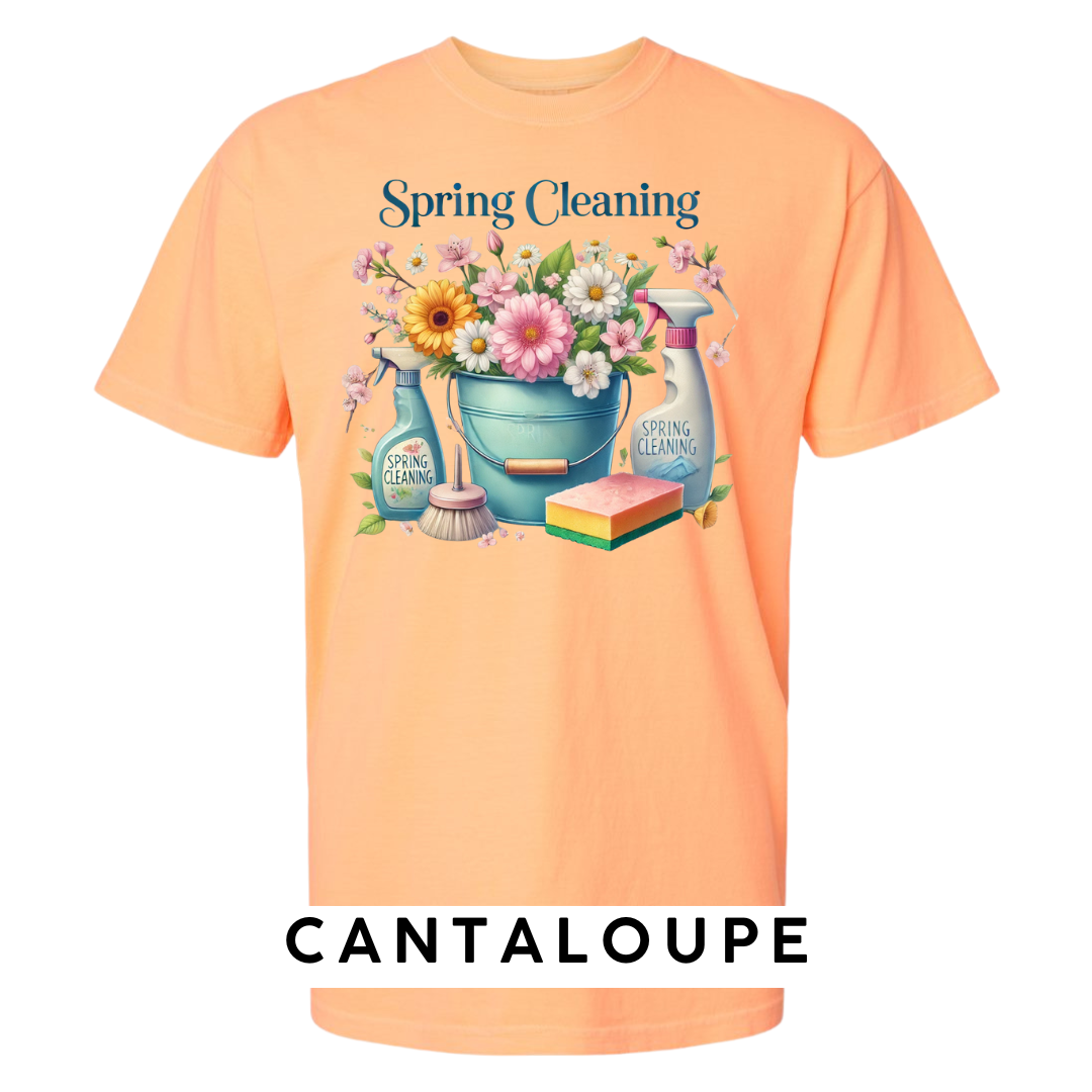Spring Cleaning Graphic T-Shirt