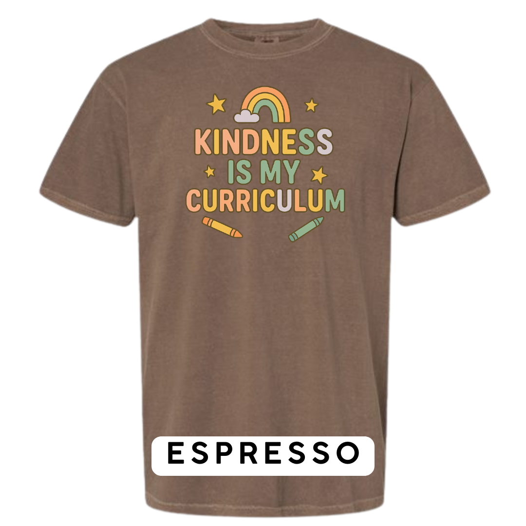 Kindness Is My Curriculum Graphic T-Shirt