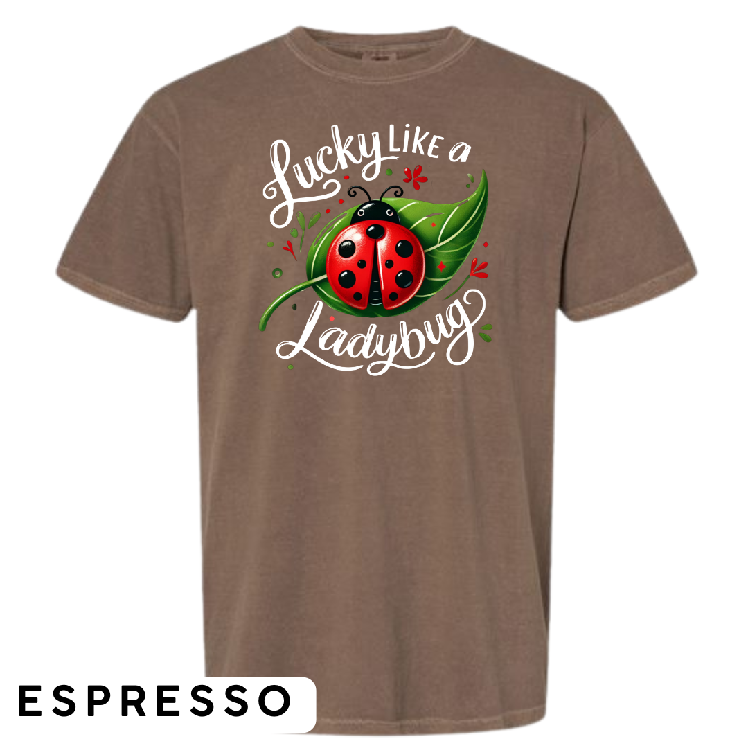 Lucky Like a Ladybug Graphic T-Shirt