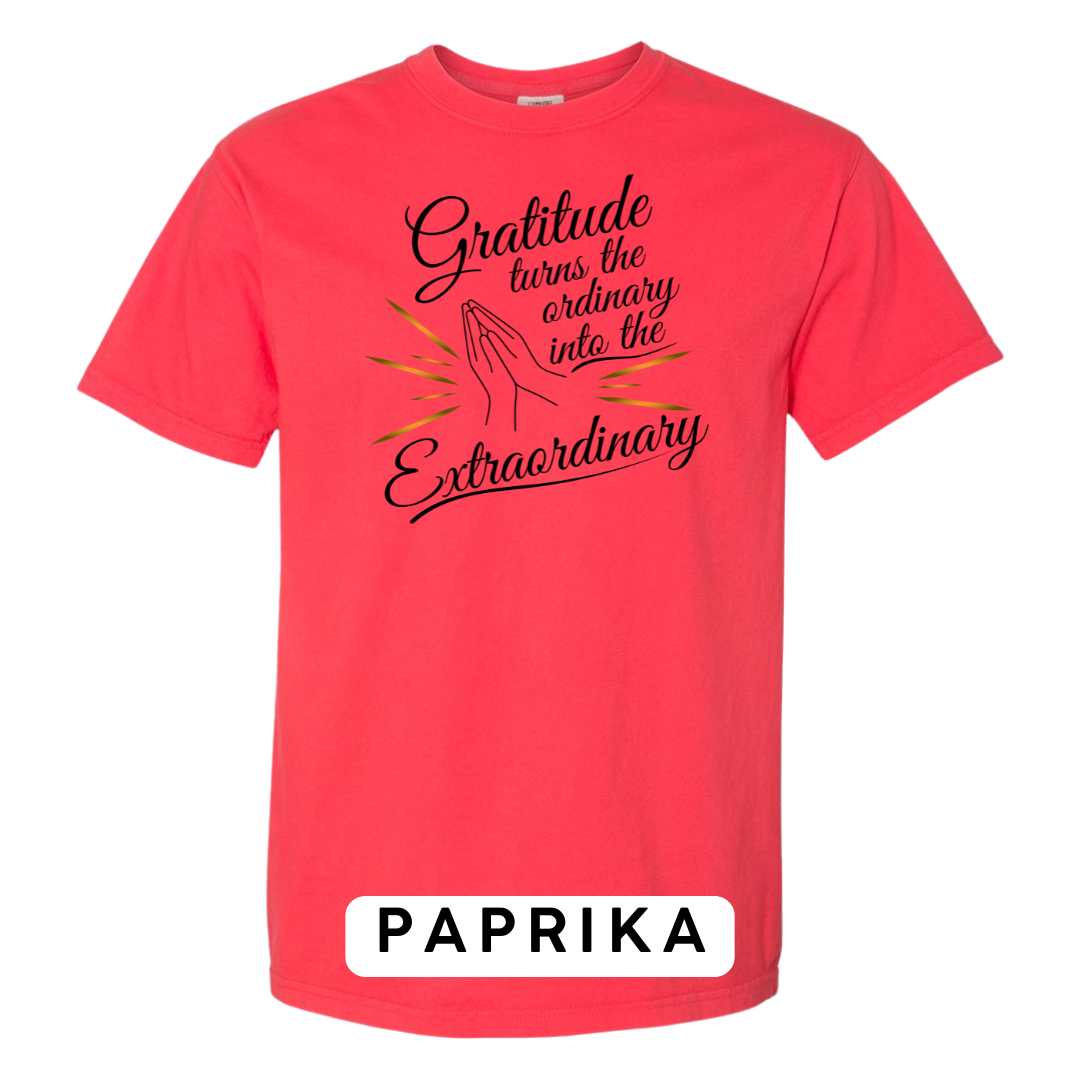 Gratitude Turns the Ordinary to Extraordinary Graphic T-Shirt