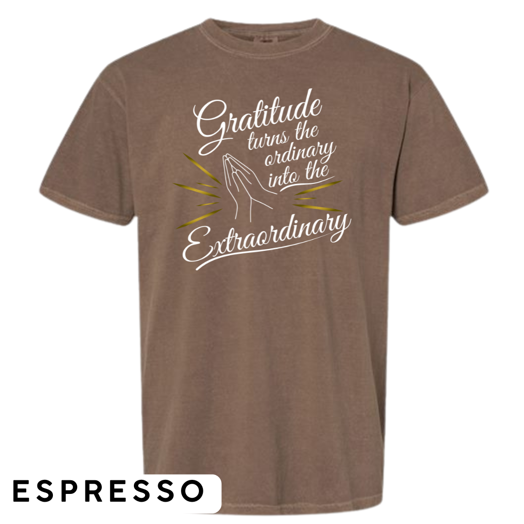 Gratitude Turns the Ordinary to Extraordinary Graphic T-Shirt