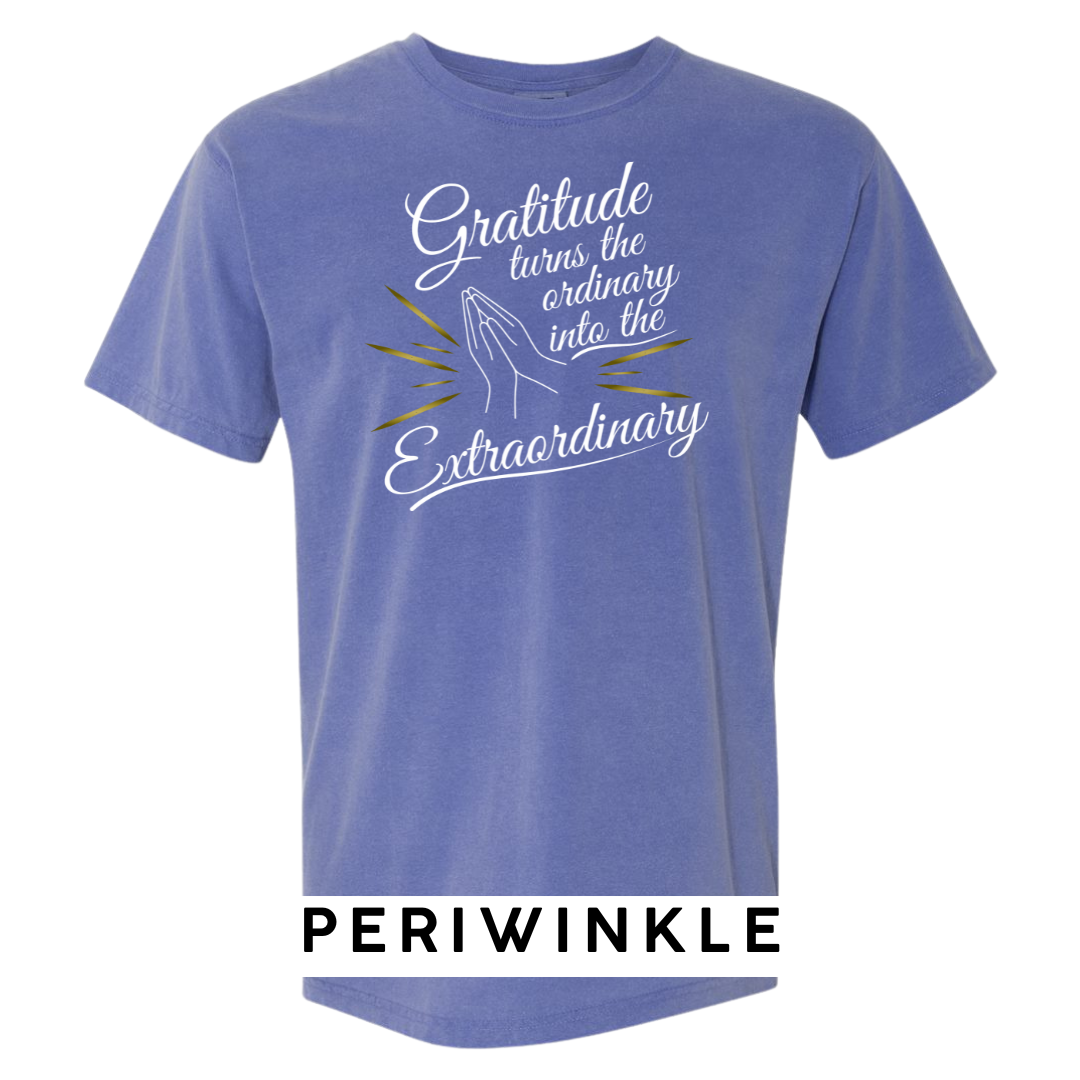 Gratitude Turns the Ordinary to Extraordinary Graphic T-Shirt