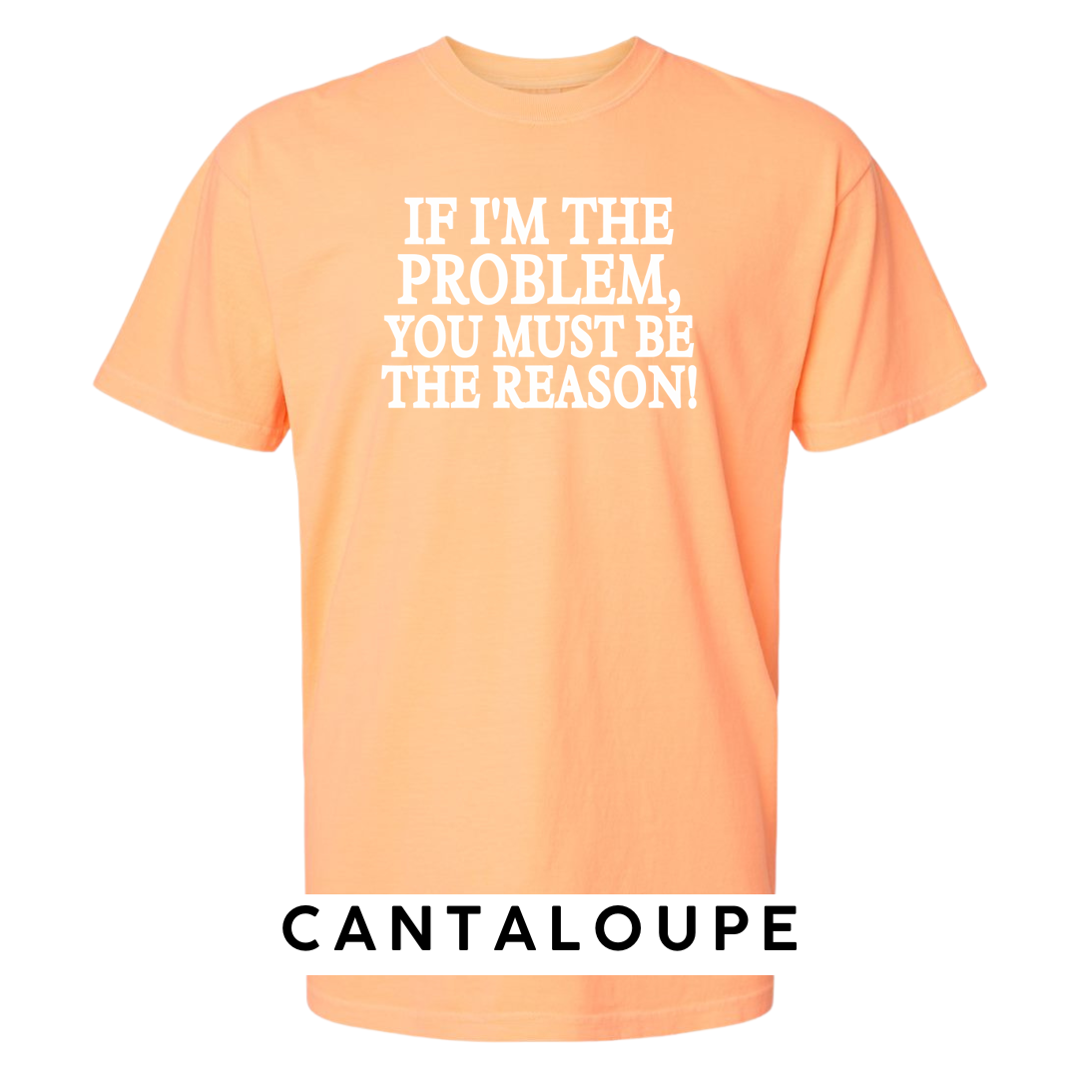 If I'm the Problem, You must be the Reason!