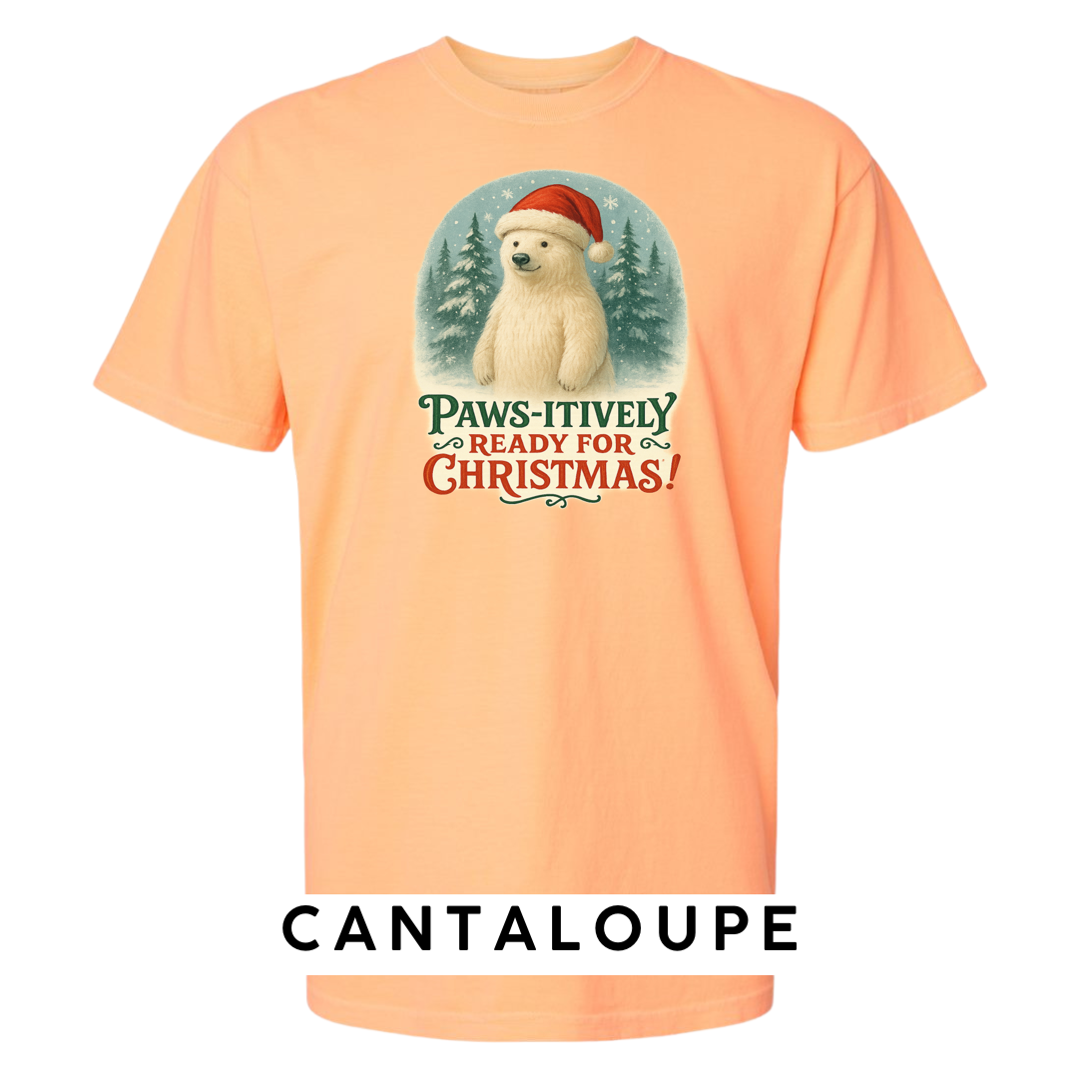 Paws-itively Ready For Christmas