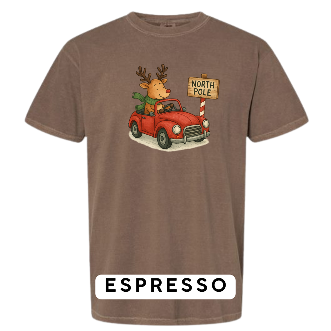 Reindeer Driving to Work