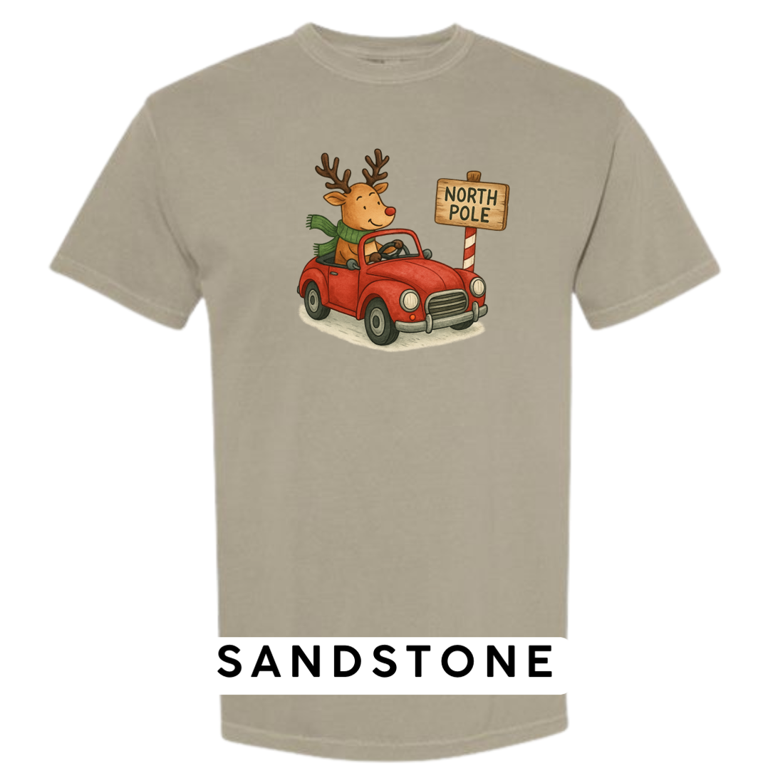 Reindeer Driving to Work