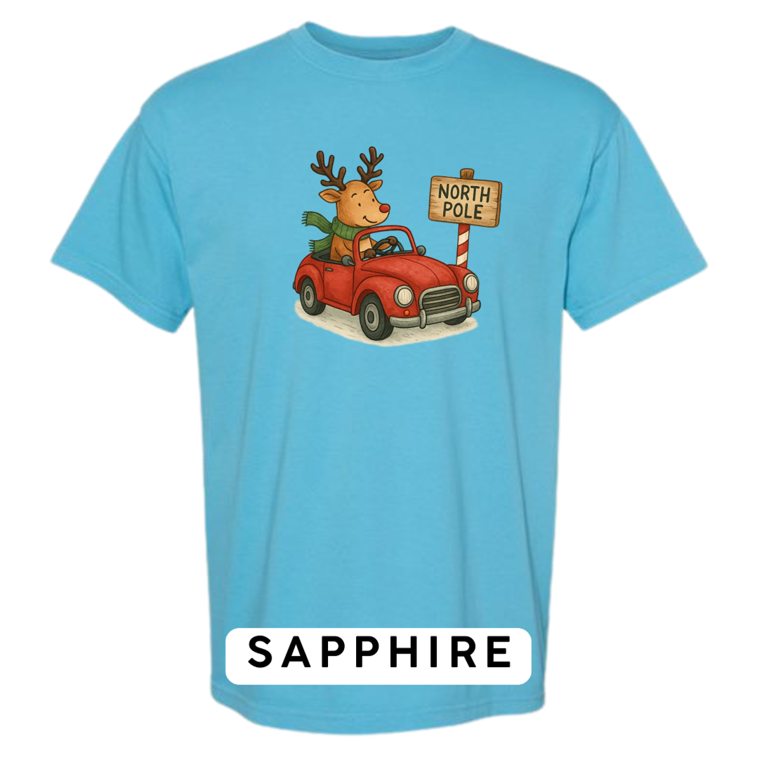 Reindeer Driving to Work