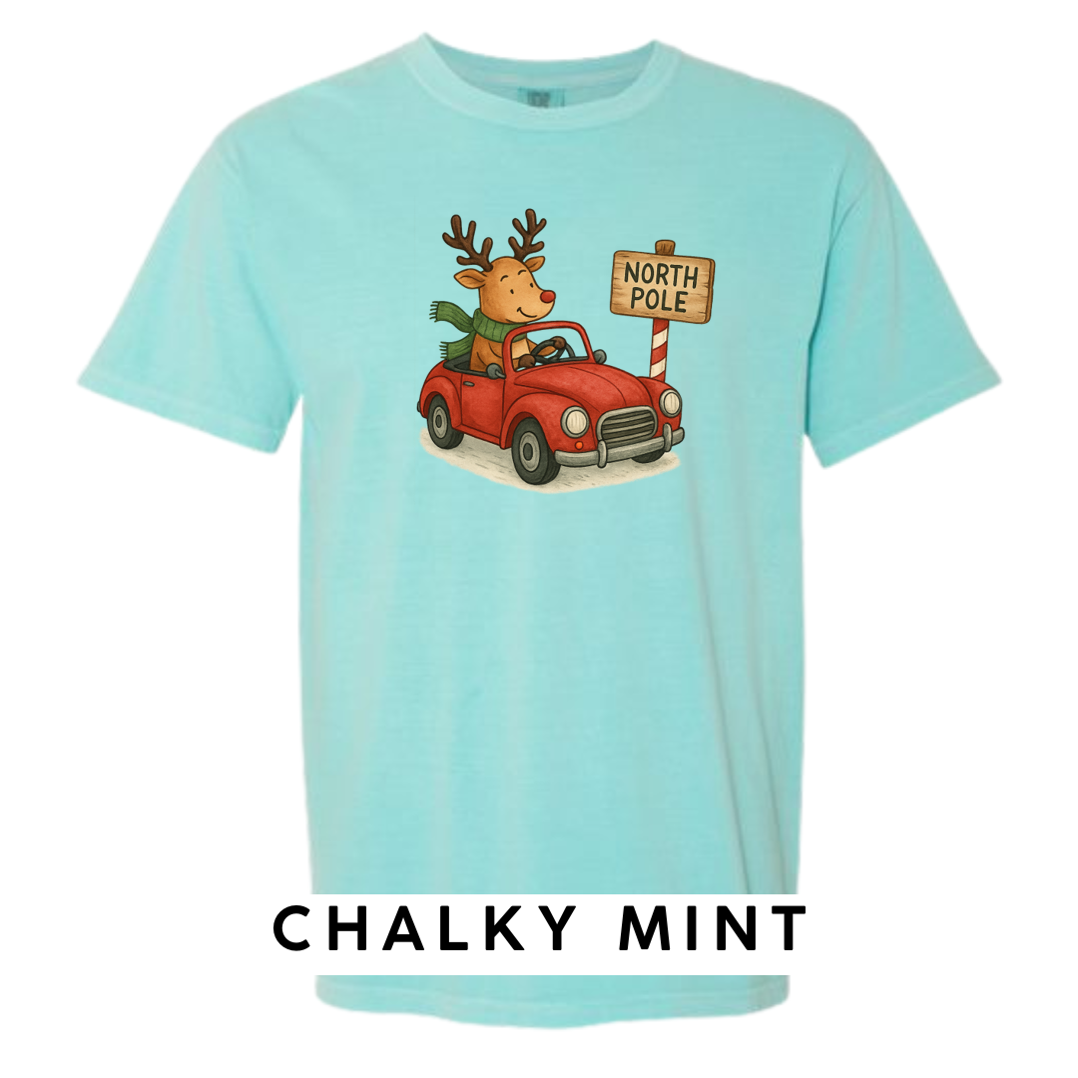 Reindeer Driving to Work