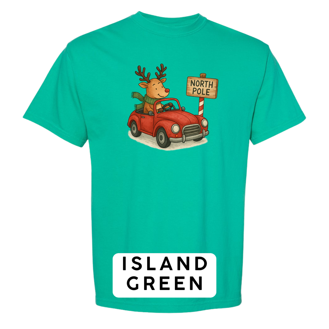 Reindeer Driving to Work