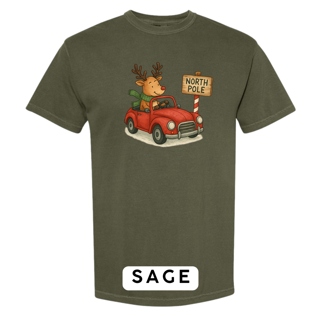 Reindeer Driving to Work