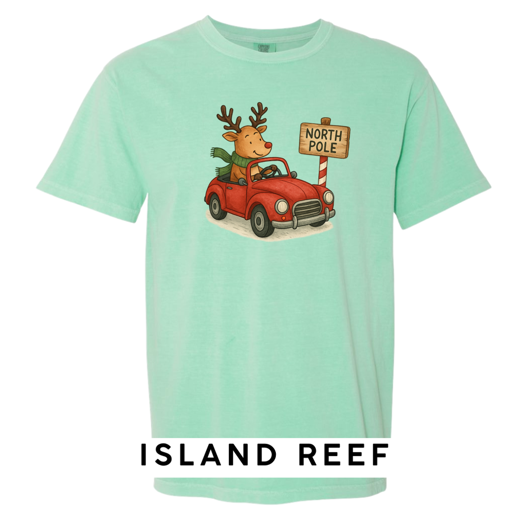 Reindeer Driving to Work