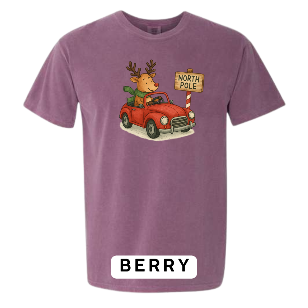 Reindeer Driving to Work