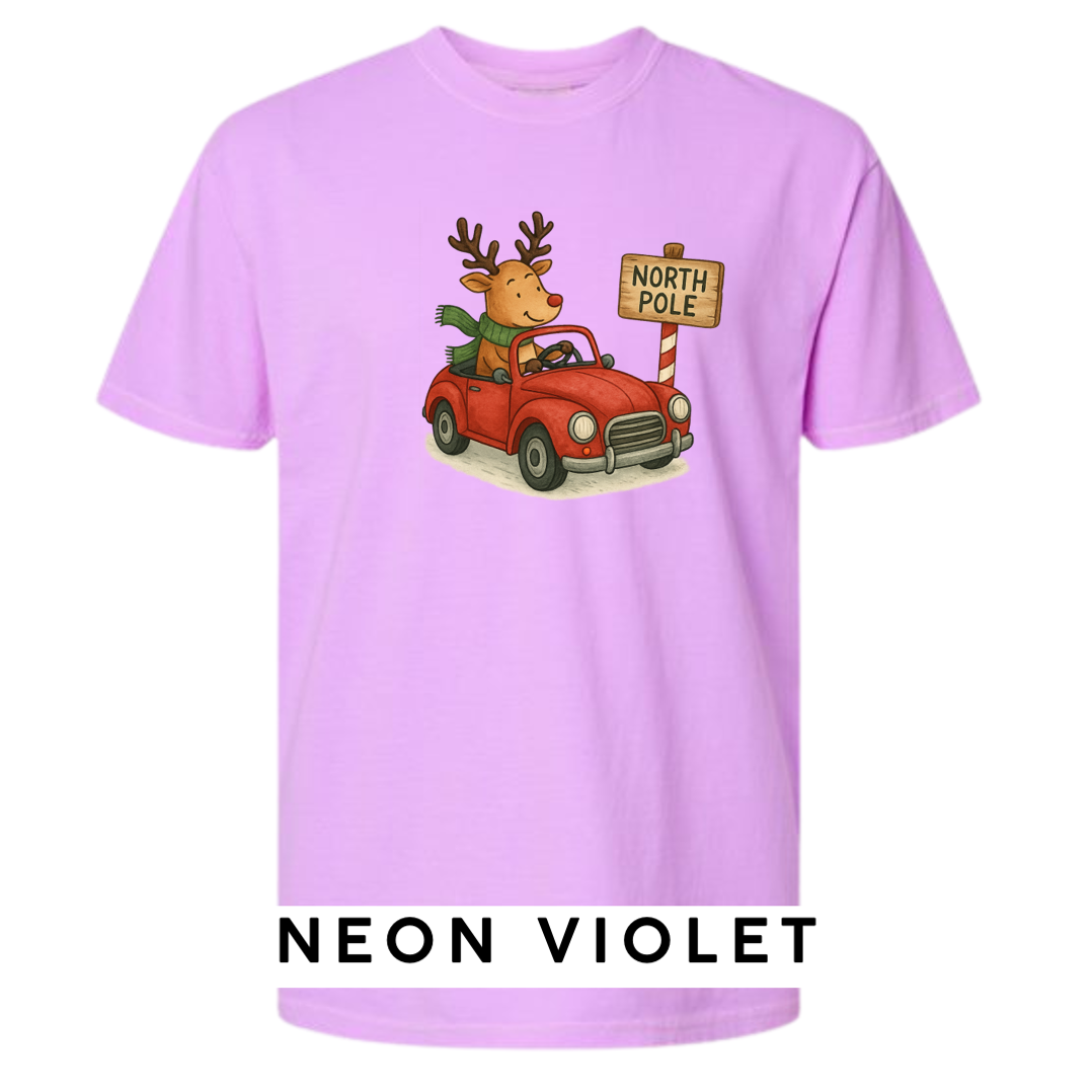 Reindeer Driving to Work