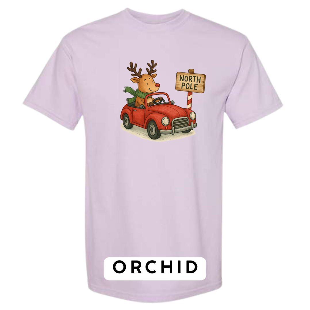 Reindeer Driving to Work