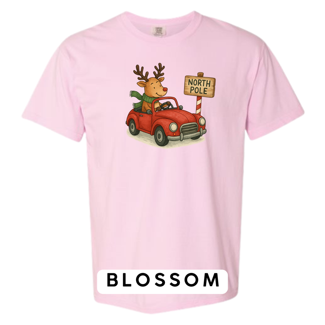 Reindeer Driving to Work