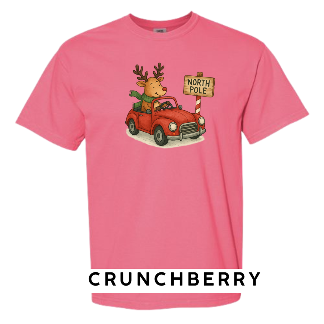 Reindeer Driving to Work