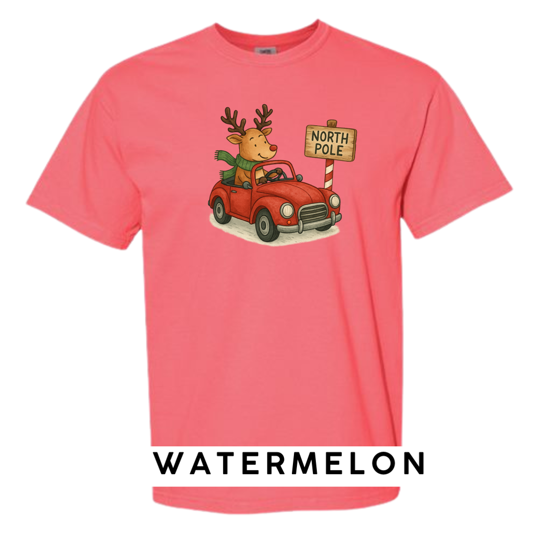 Reindeer Driving to Work