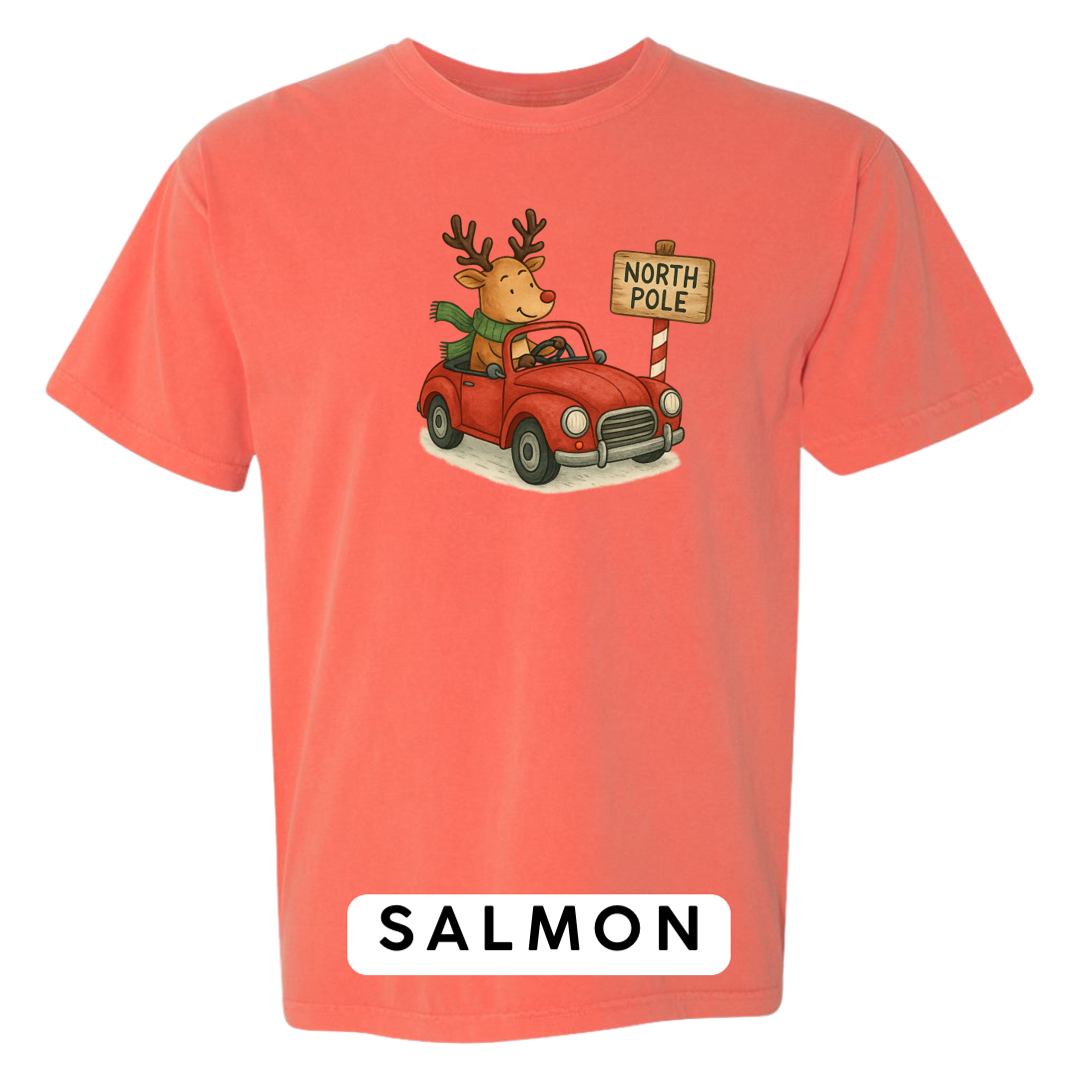 Reindeer Driving to Work