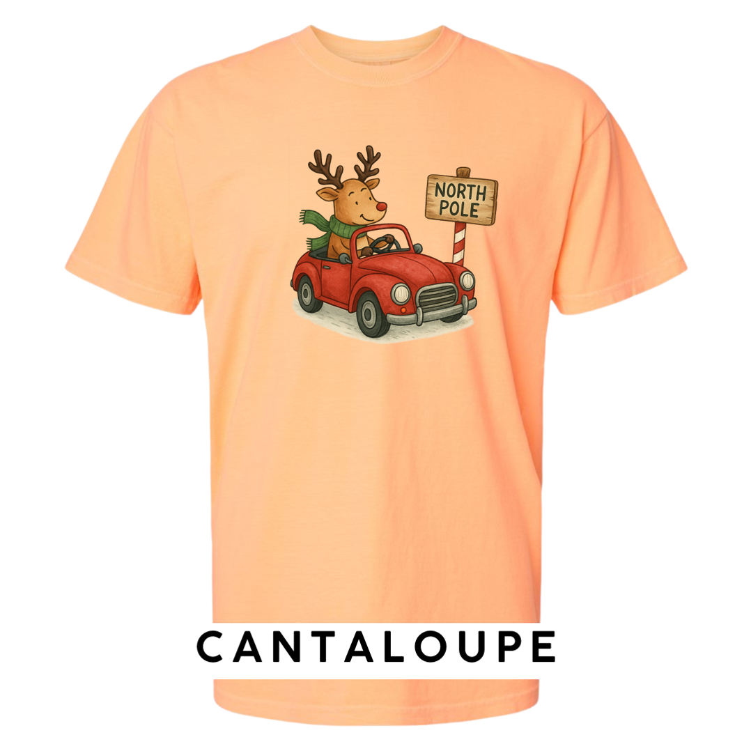 Reindeer Driving to Work