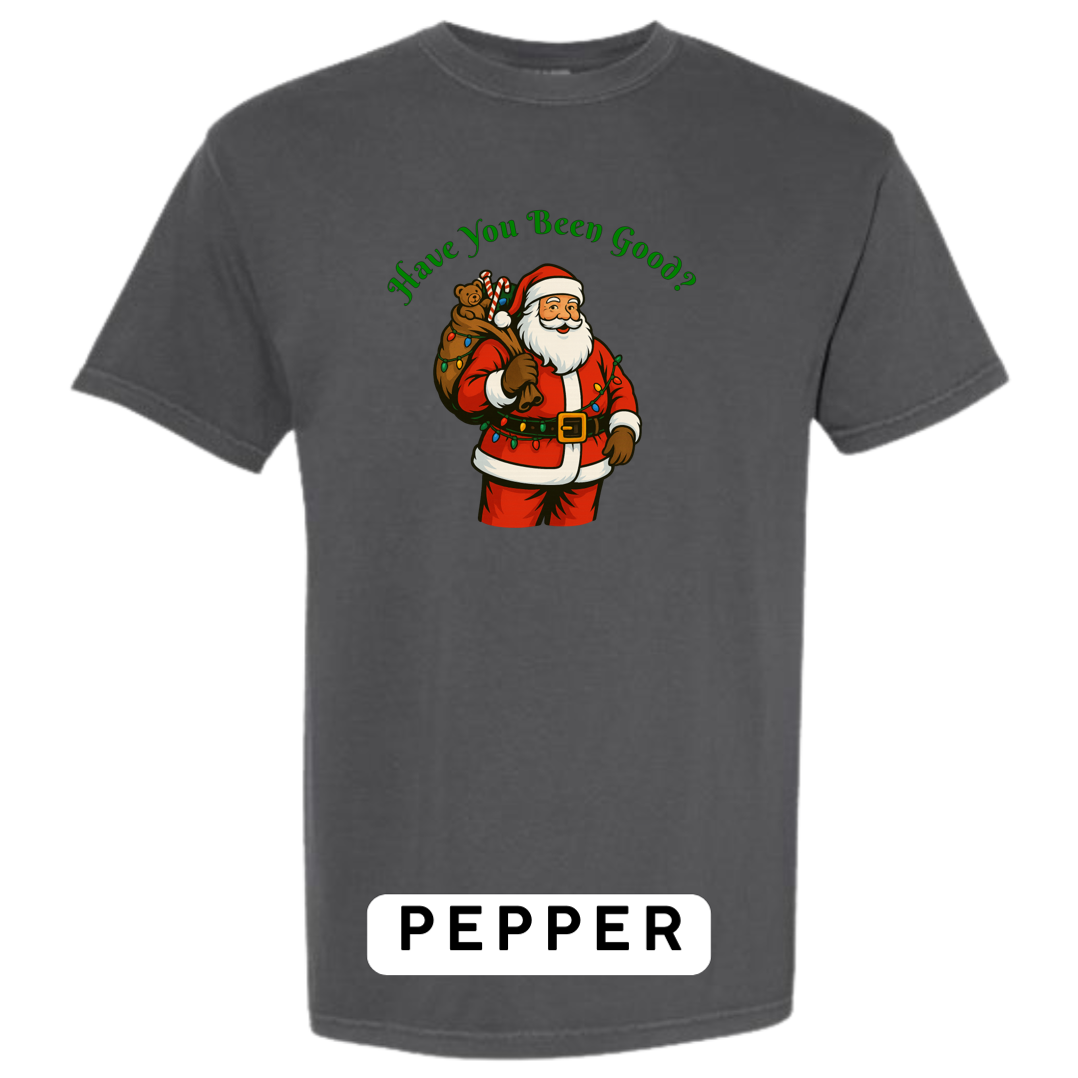 Santa Claus - Have you been Good?