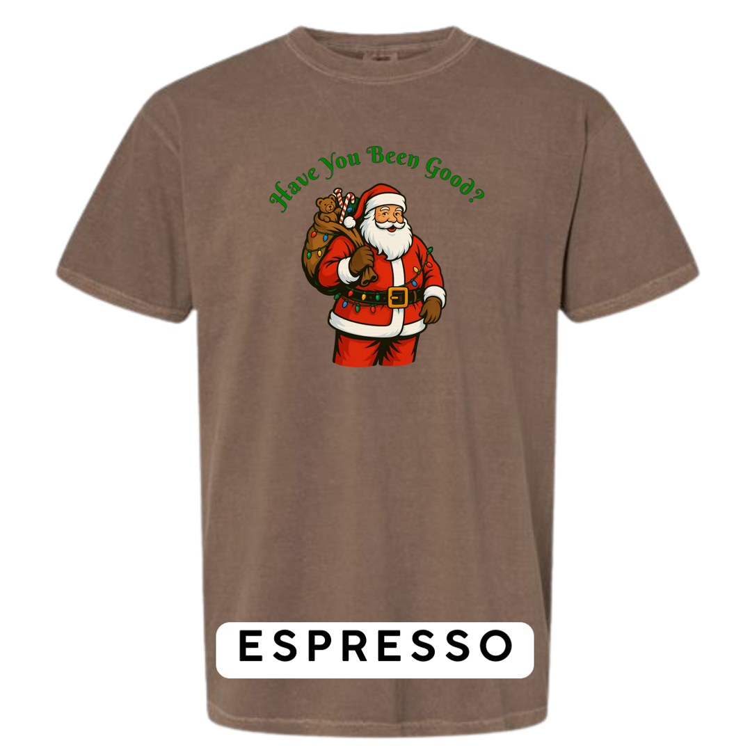 Santa Claus - Have you been Good?