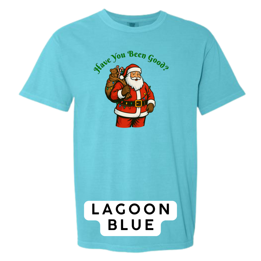 Santa Claus - Have you been Good?