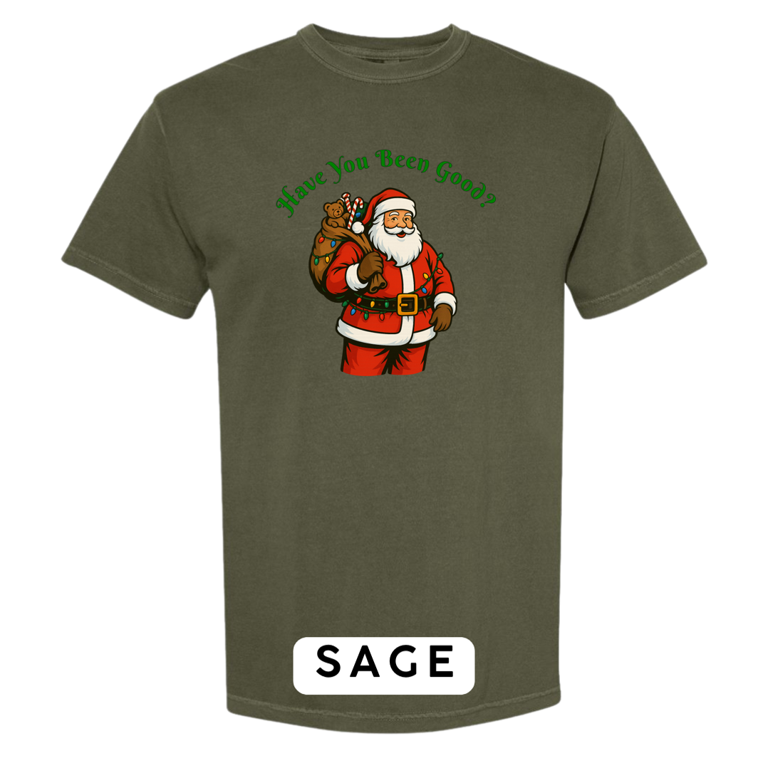 Santa Claus - Have you been Good?