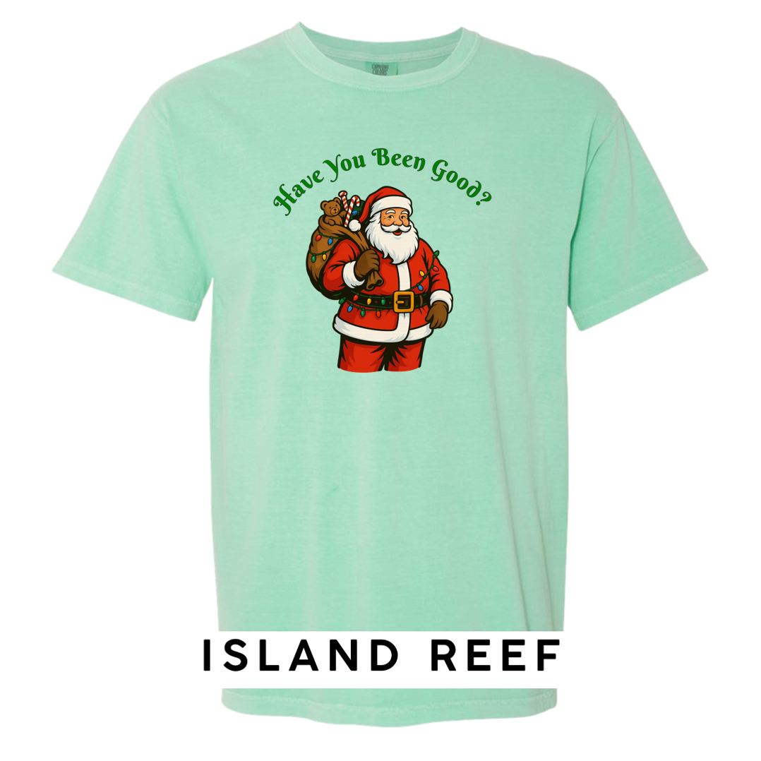 Santa Claus - Have you been Good?