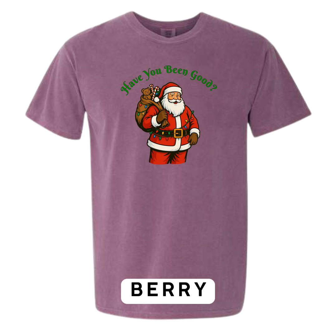 Santa Claus - Have you been Good?