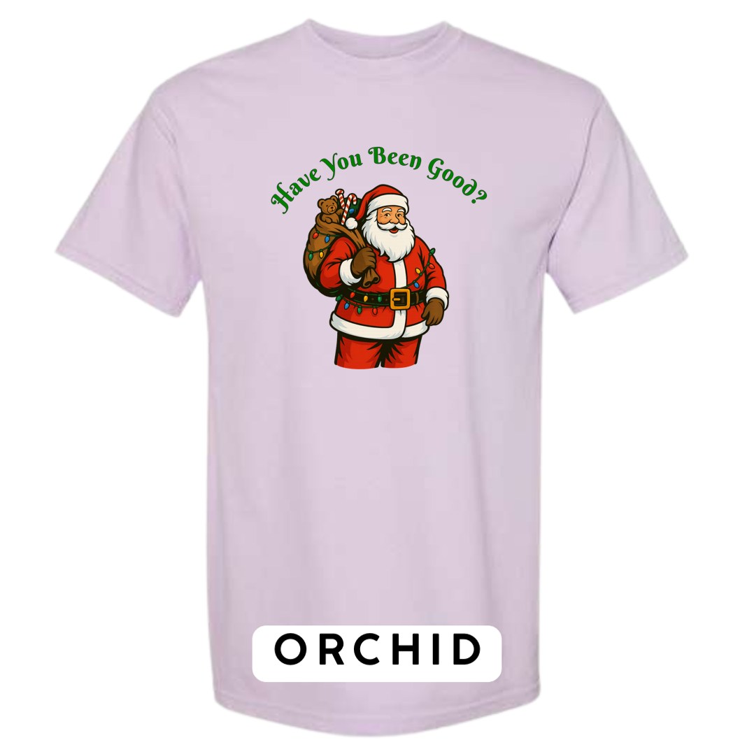 Santa Claus - Have you been Good?