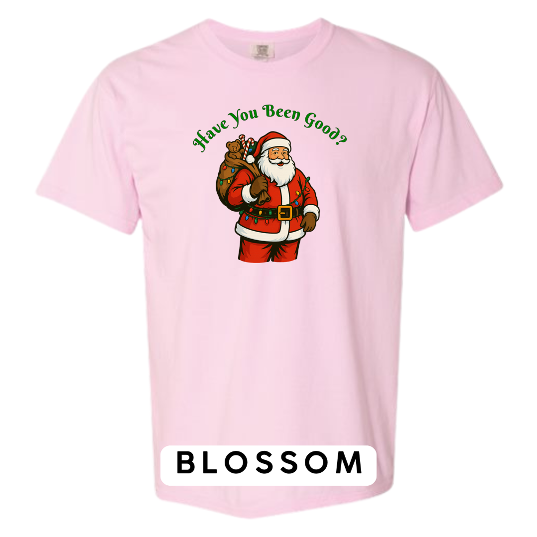 Santa Claus - Have you been Good?