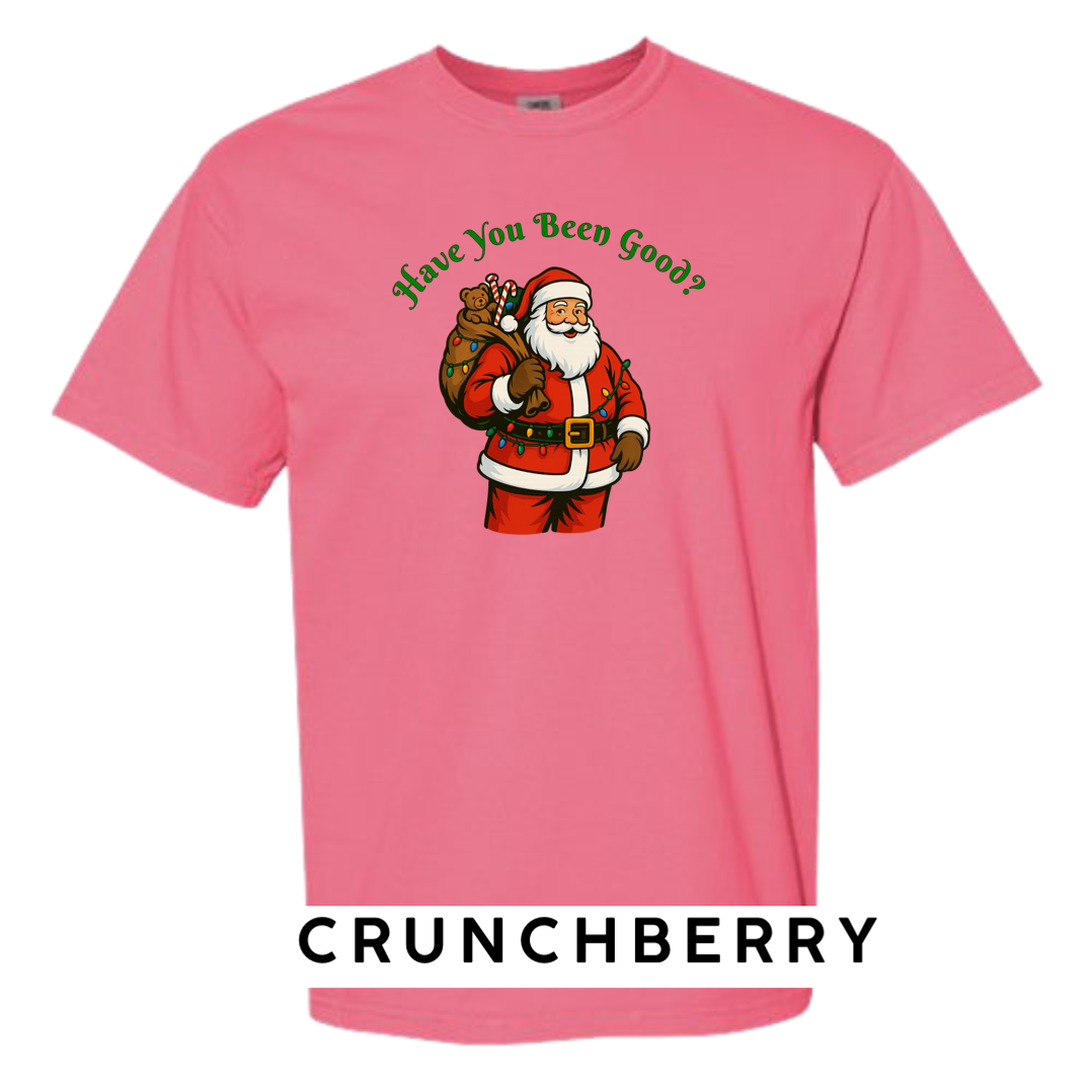 Santa Claus - Have you been Good?